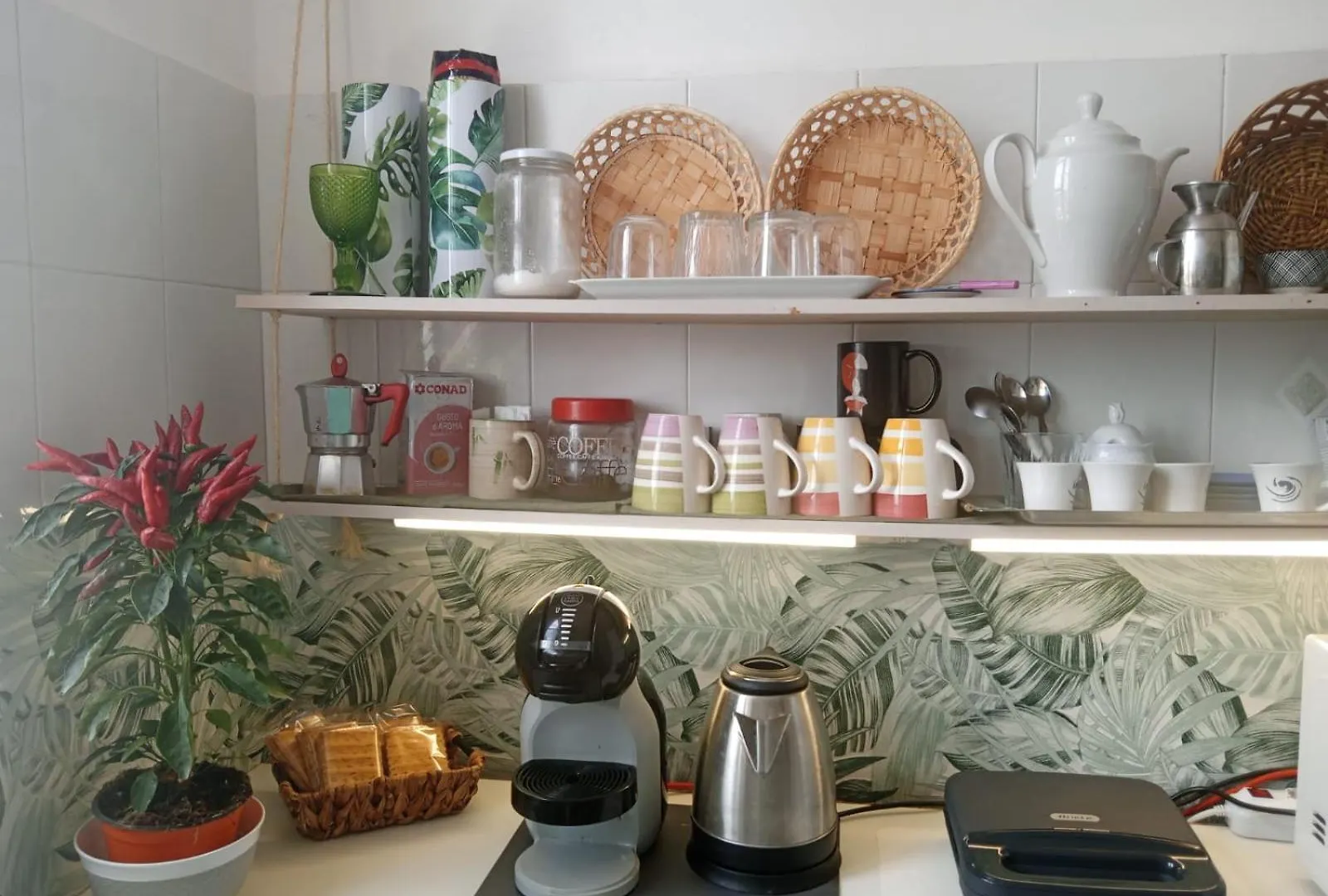 Casa Amari Alla Zisa Hostel Palermo